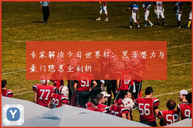 专家解读今日世界杯：黑马潜力与豪门隐患全剖析