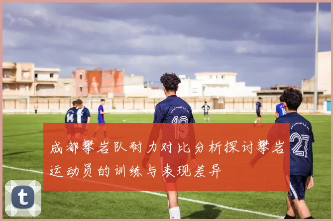 成都攀岩队耐力对比分析探讨攀岩运动员的训练与表现差异