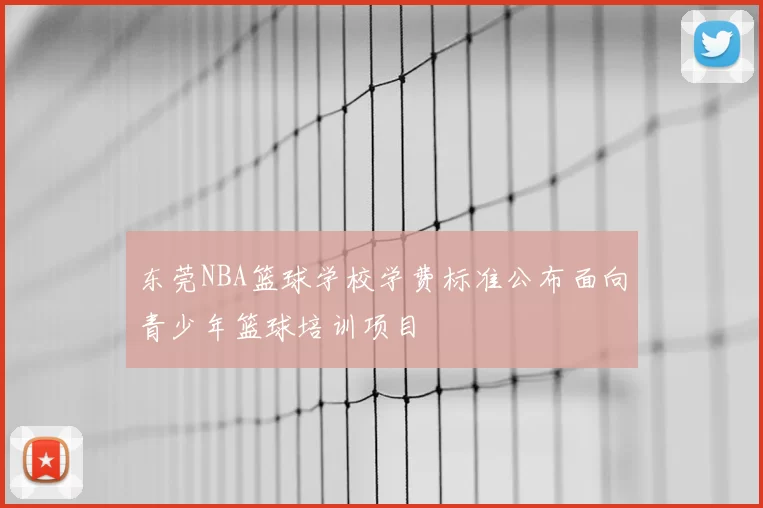 东莞NBA篮球学校学费标准公布面向青少年篮球培训项目