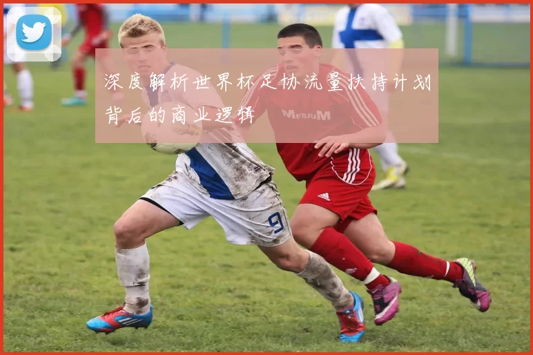 深度解析世界杯足协流量扶持计划背后的商业逻辑